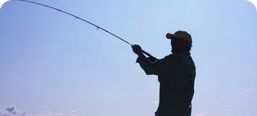book fly fishing
